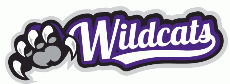 Weber State Wildcats 2012-Pres Misc Logo vinyl decal